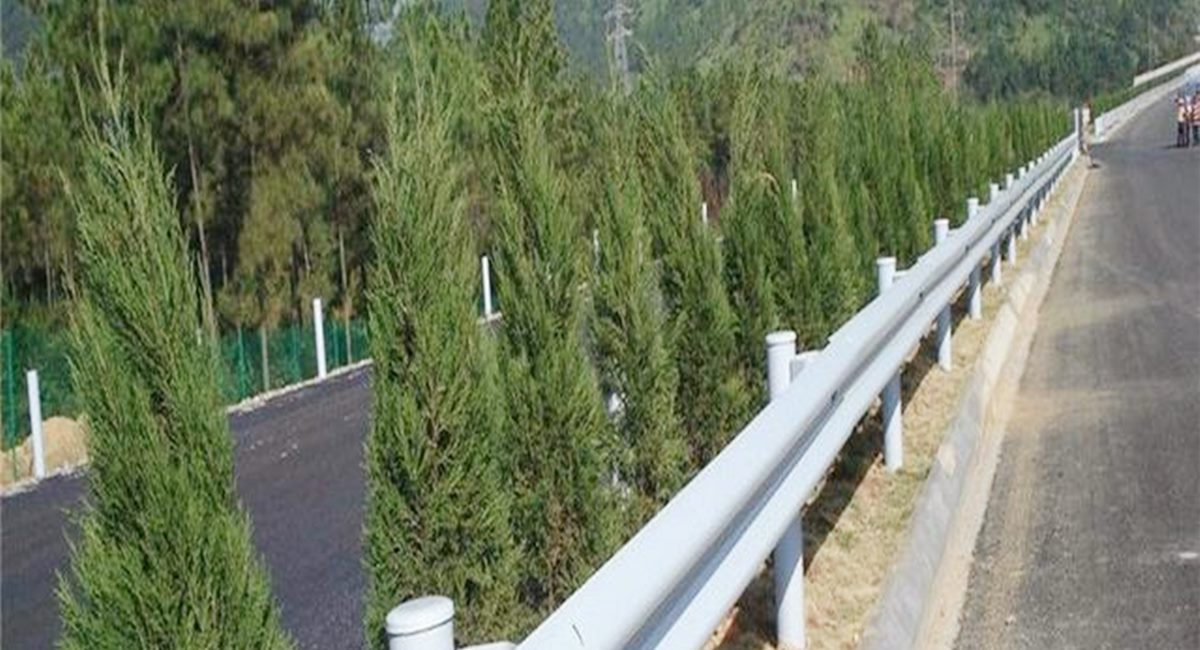 波形護(hù)欄板、鄉(xiāng)村道路護(hù)欄、單波護(hù)欄板世騰加工定制